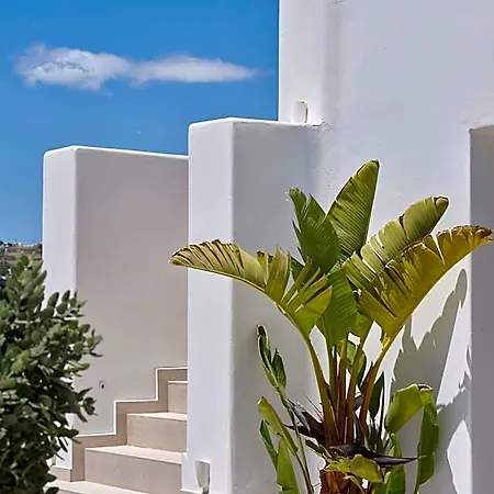 Le Palme Mykonos Ξενοδοχείο 4*